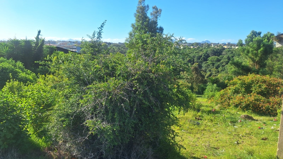 Commercial Property for Sale in Andersonville Western Cape